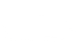 history